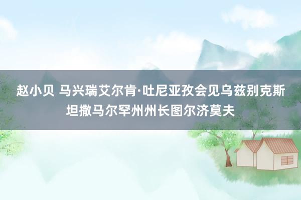 赵小贝 马兴瑞艾尔肯·吐尼亚孜会见乌兹别克斯坦撒马尔罕州州长图尔济莫夫